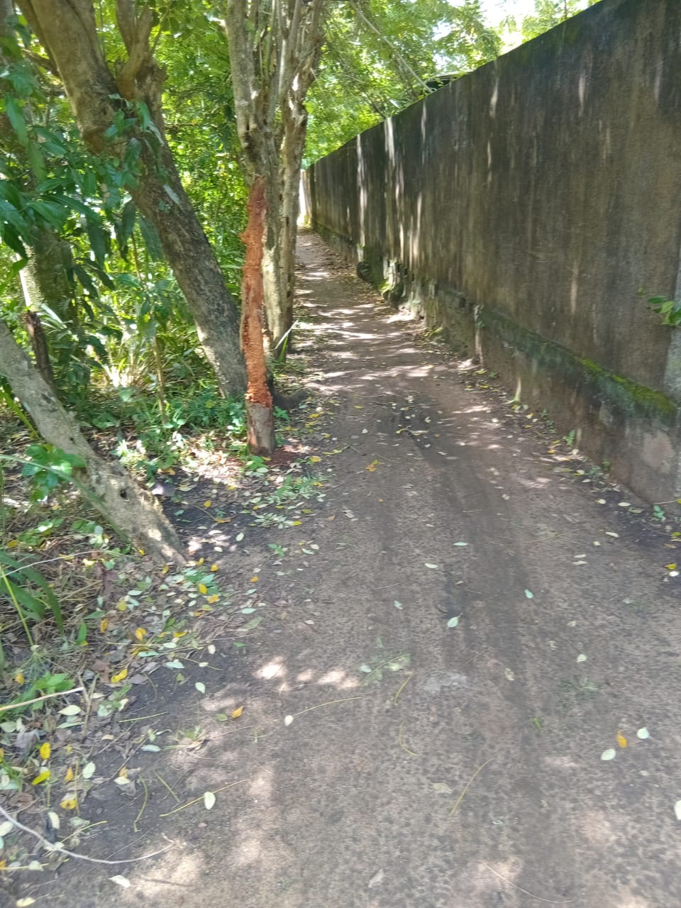 Land for Sal in Gandara