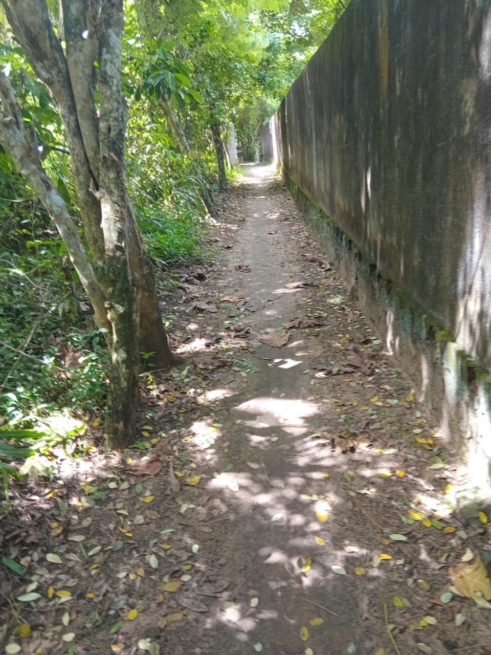 Land for Sal in Gandara