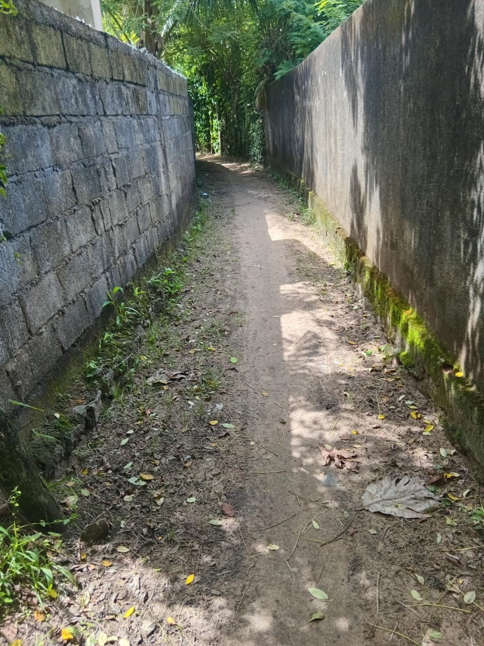 Land for Sal in Gandara