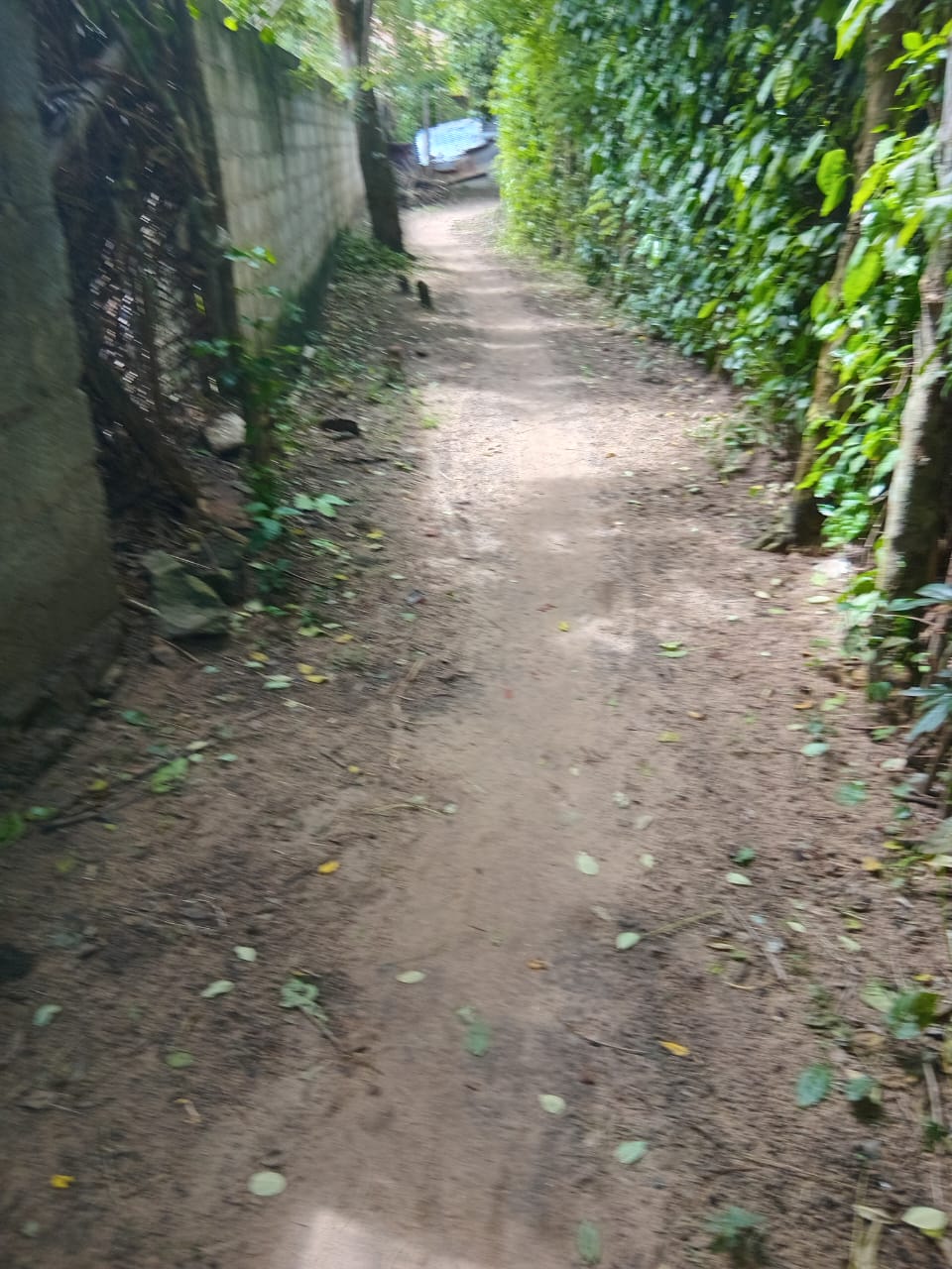 Land for Sal in Gandara