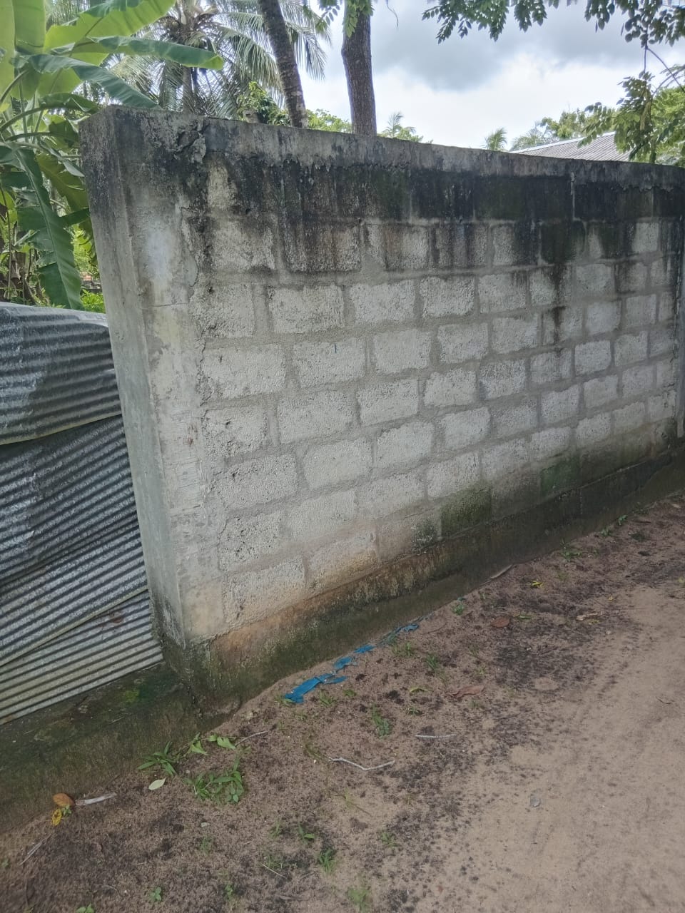 Land for Sal in Gandara