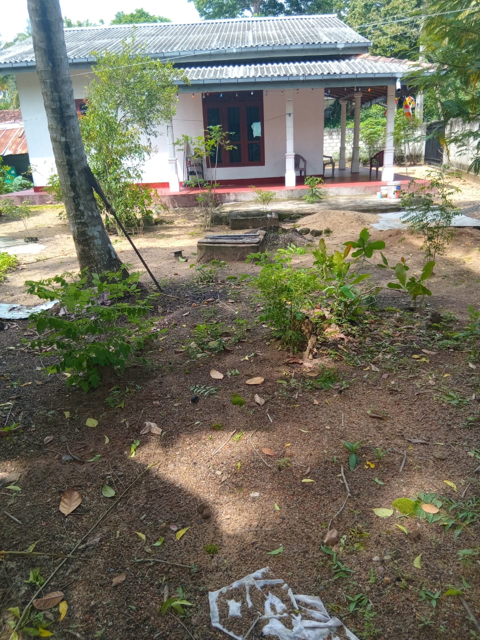 Land for Sal in Gandara