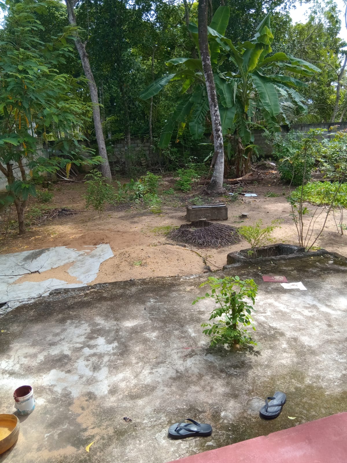 Land for Sal in Gandara