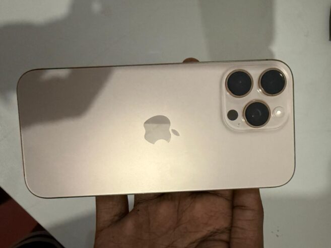 Apple iPhone 16 Pro Max