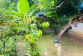 ජා ඇල Land with House Sale