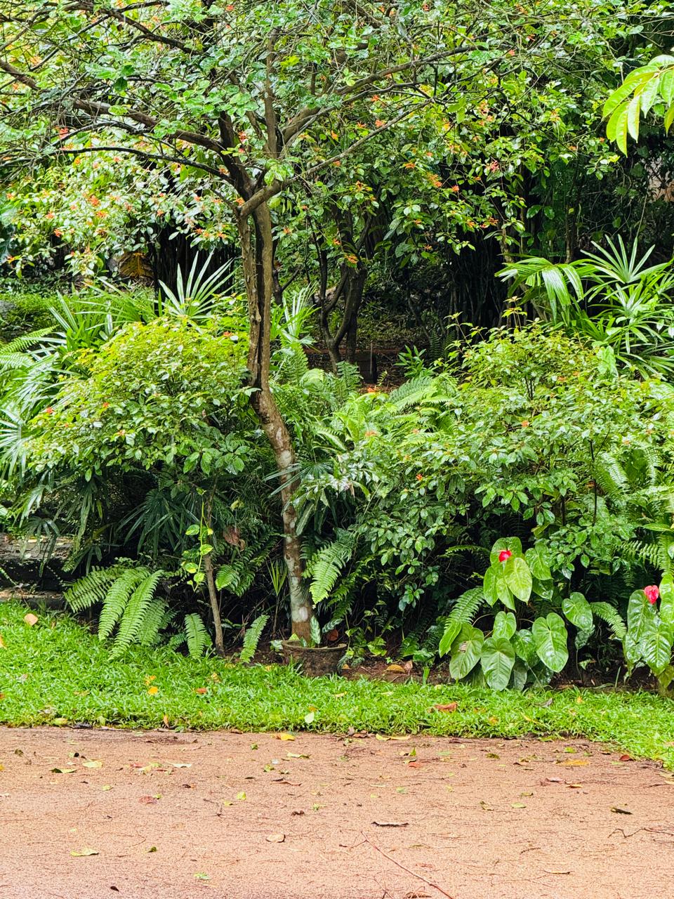 බුළුගොල්ල අධිවේගී මාර්ග පිවිසුමට 2km දුරින් පර්ච් 46 ඉඩමක්