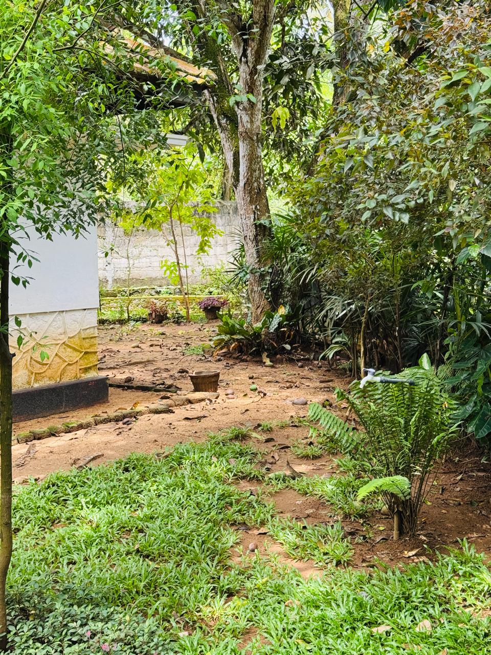 බුළුගොල්ල අධිවේගී මාර්ග පිවිසුමට 2km දුරින් පර්ච් 46 ඉඩමක්