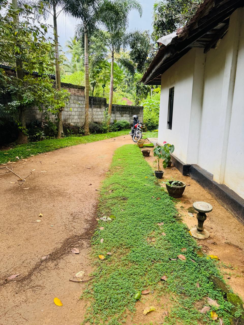 බුළුගොල්ල අධිවේගී මාර්ග පිවිසුමට 2km දුරින් පර්ච් 46 ඉඩමක්