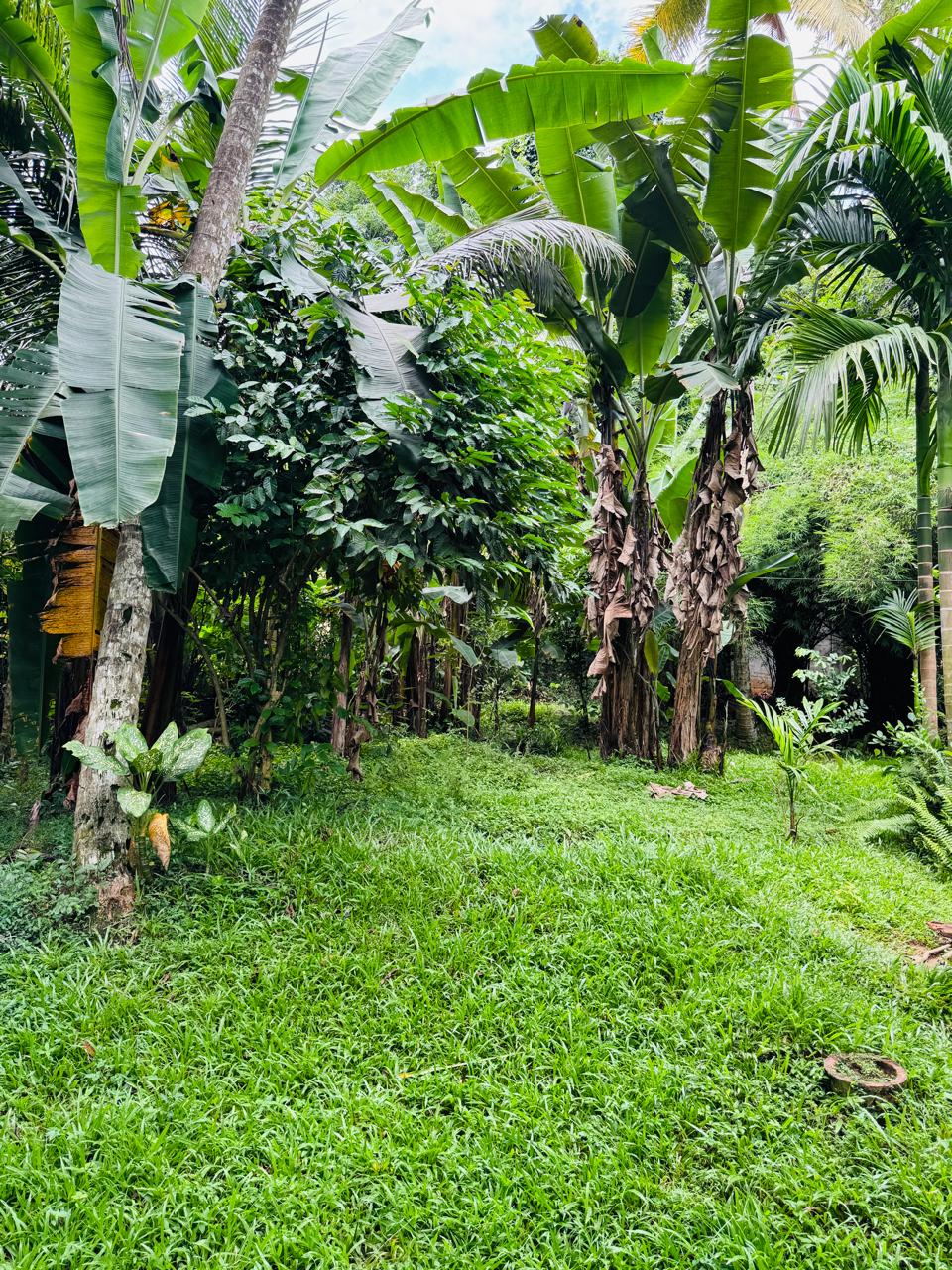 බුළුගොල්ල අධිවේගී මාර්ග පිවිසුමට 2km දුරින් පර්ච් 46 ඉඩමක්