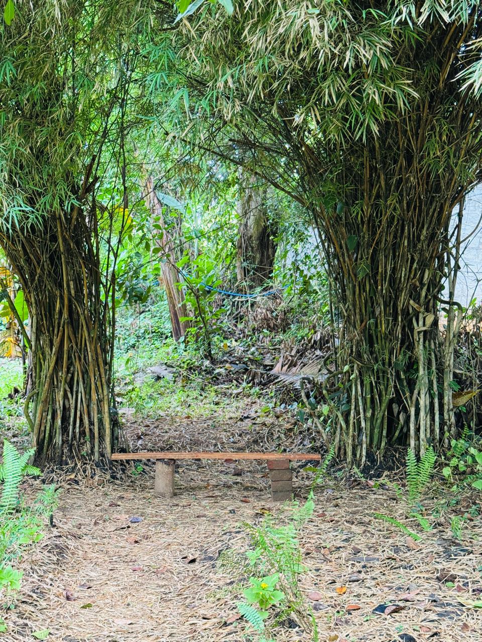 බුළුගොල්ල අධිවේගී මාර්ග පිවිසුමට 2km දුරින් පර්ච් 46 ඉඩමක්