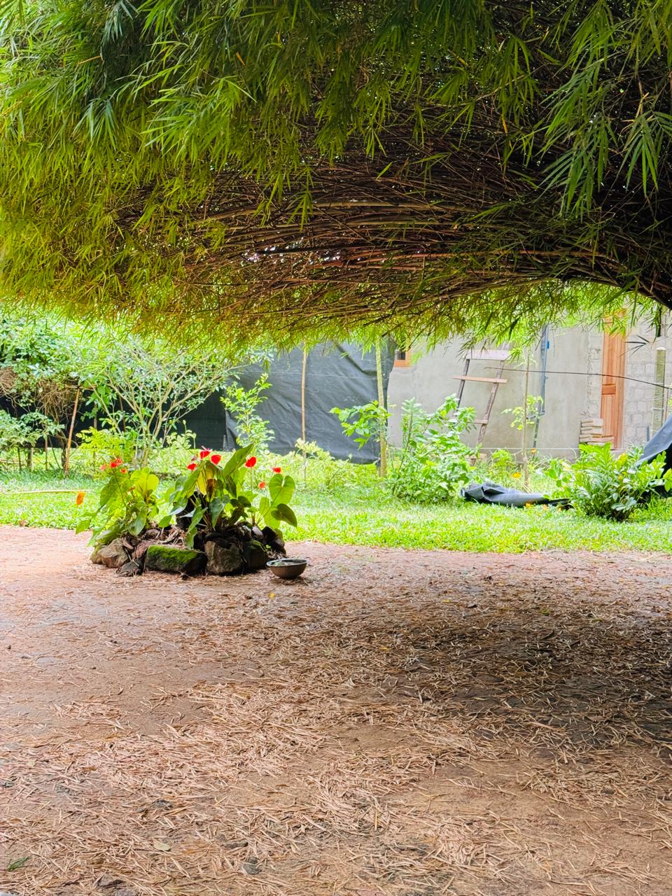 බුළුගොල්ල අධිවේගී මාර්ග පිවිසුමට 2km දුරින් පර්ච් 46 ඉඩමක්