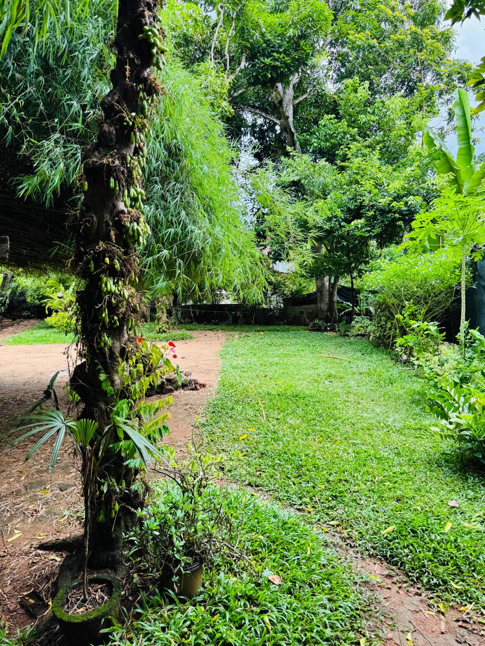 බුළුගොල්ල අධිවේගී මාර්ග පිවිසුමට 2km දුරින් පර්ච් 46 ඉඩමක්