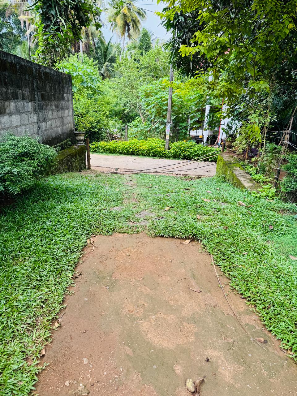 බුළුගොල්ල අධිවේගී මාර්ග පිවිසුමට 2km දුරින් පර්ච් 46 ඉඩමක්