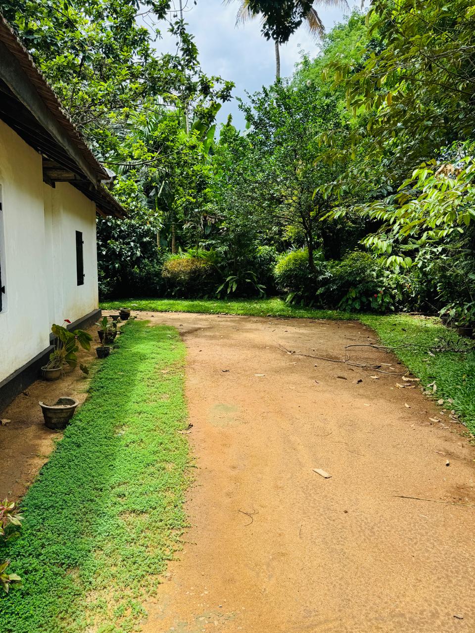 බුළුගොල්ල අධිවේගී මාර්ග පිවිසුමට 2km දුරින් පර්ච් 46 ඉඩමක්