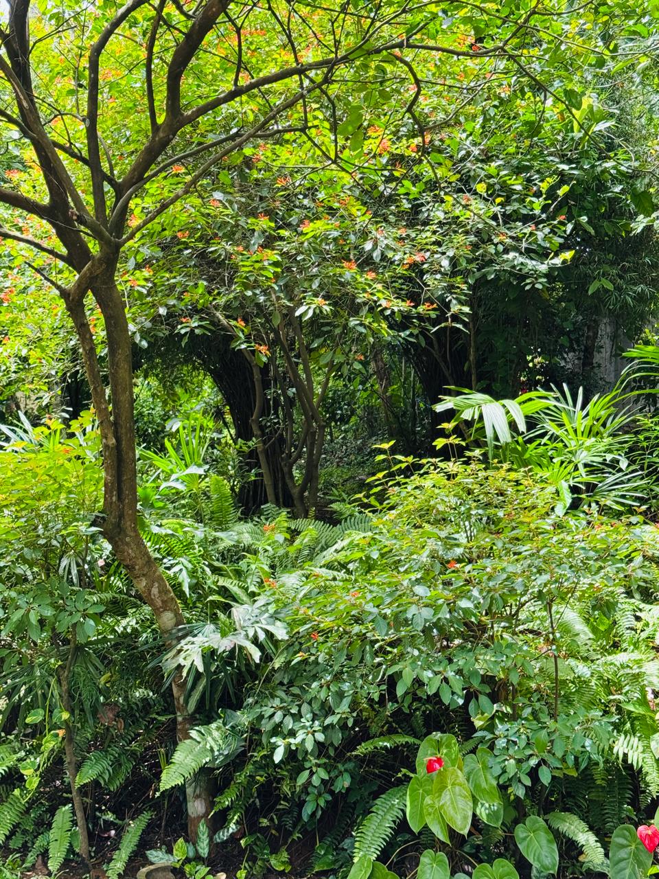 බුළුගොල්ල අධිවේගී මාර්ග පිවිසුමට 2km දුරින් පර්ච් 46 ඉඩමක්