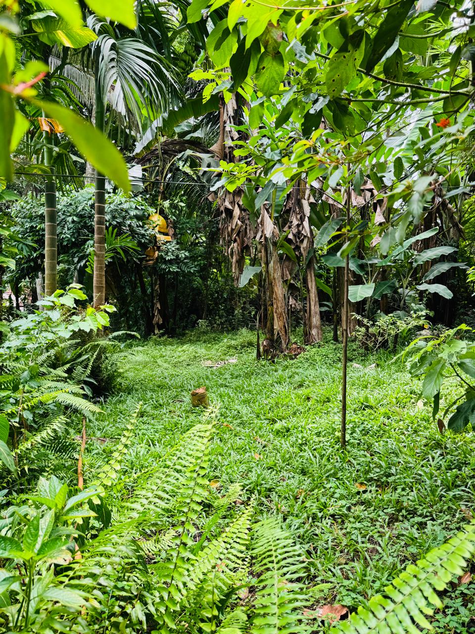 බුළුගොල්ල අධිවේගී මාර්ග පිවිසුමට 2km දුරින් පර්ච් 46 ඉඩමක්