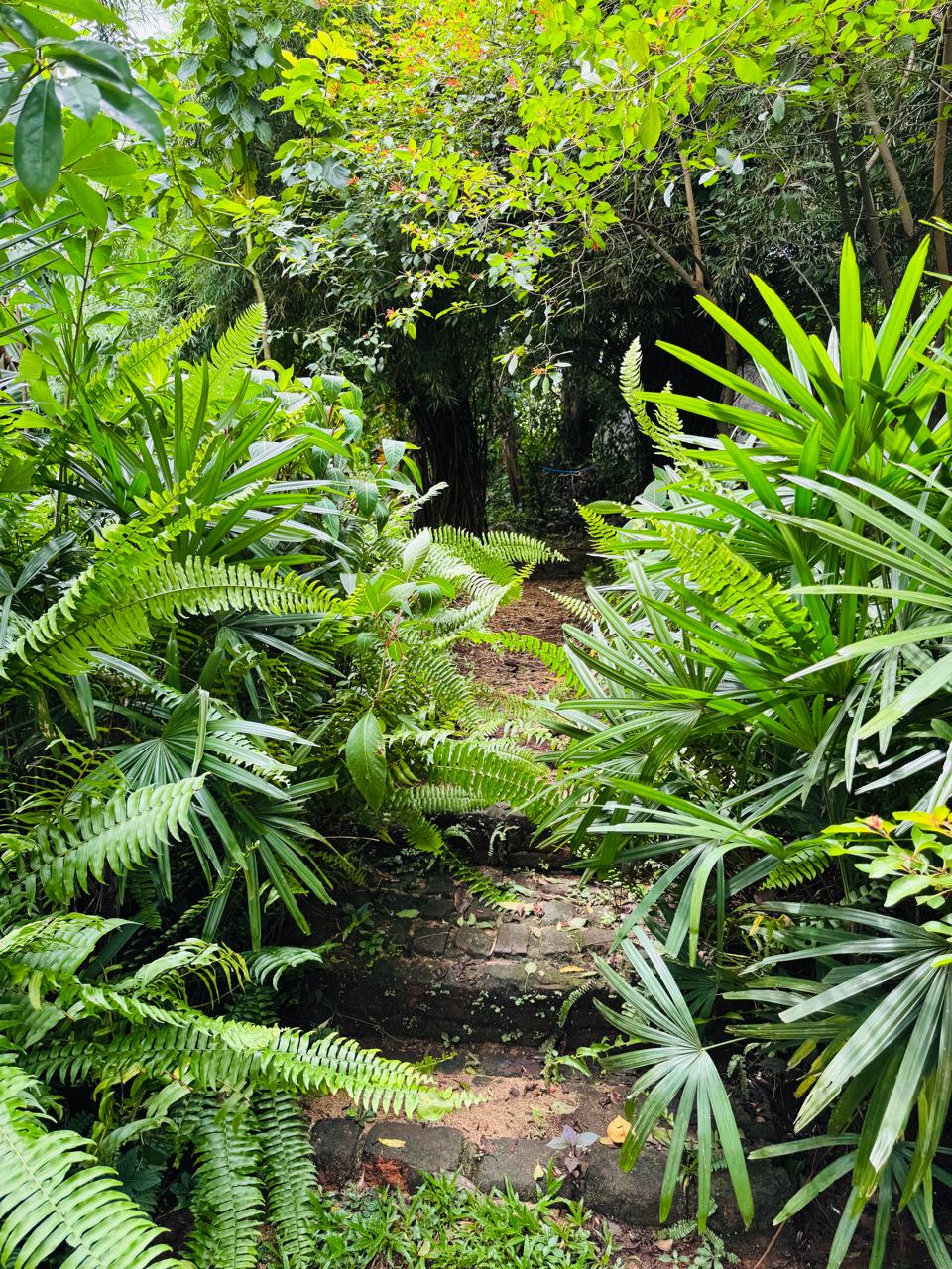 බුළුගොල්ල අධිවේගී මාර්ග පිවිසුමට 2km දුරින් පර්ච් 46 ඉඩමක්