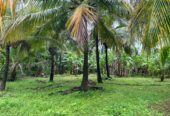 Land for Sale in Melsiripura