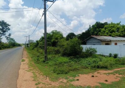 Land for Sale Vavuniya