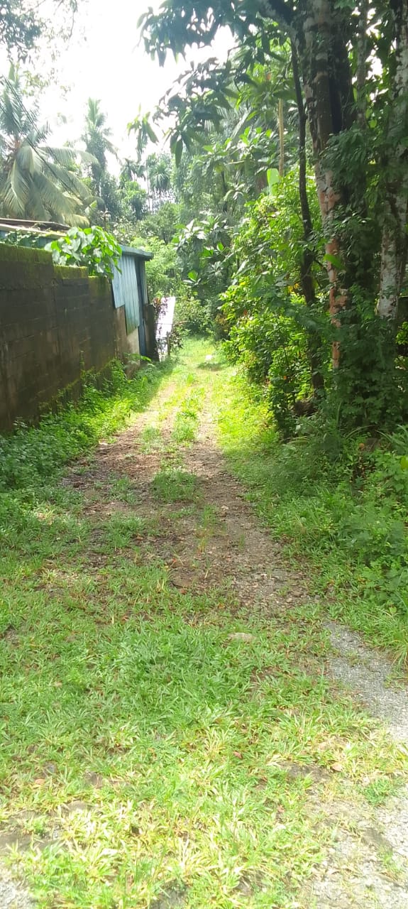 Land for Sale in Moragahahena