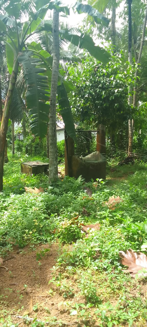 Land for Sale in Moragahahena