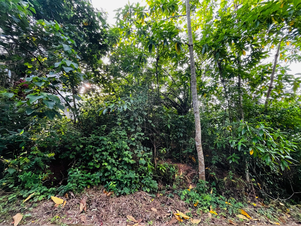 Flat Land for Sale in Kaduruduwa,just 1km from Southern Expy Entrance Rd