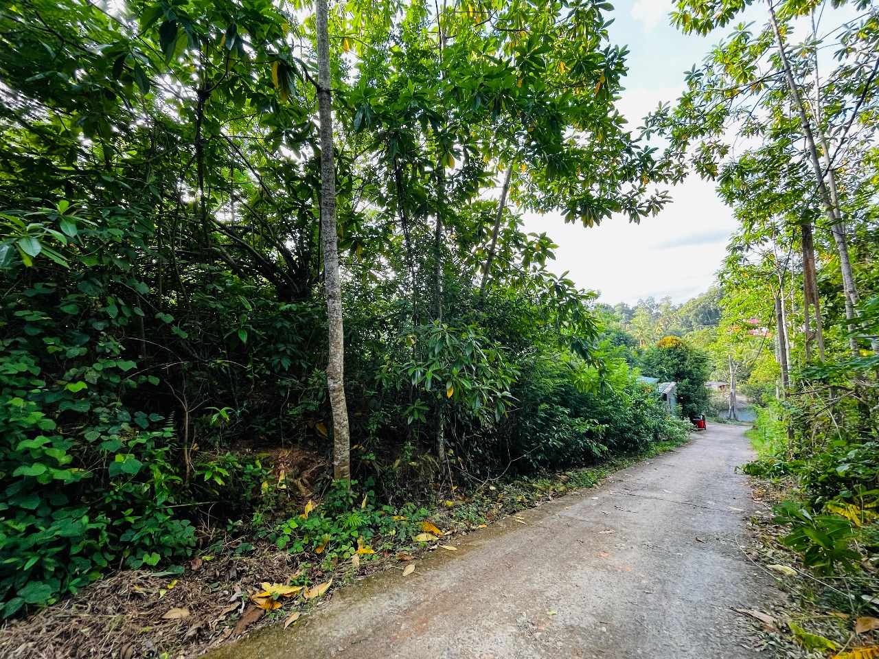 Flat Land for Sale in Kaduruduwa,just 1km from Southern Expy Entrance Rd