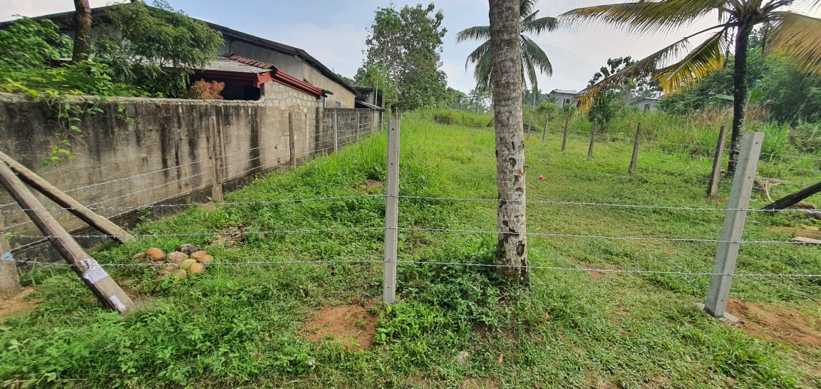 Land for Sale in Welmilla