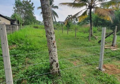 Land for Sale in Welmilla