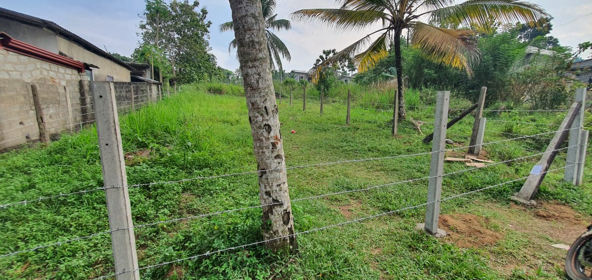 Land for Sale in Welmilla