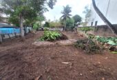 Land for Sale in Matara
