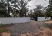 Factory Purposed Land – Batagoda
