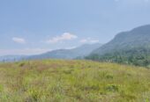 Land for Sale in Kandy Deltota