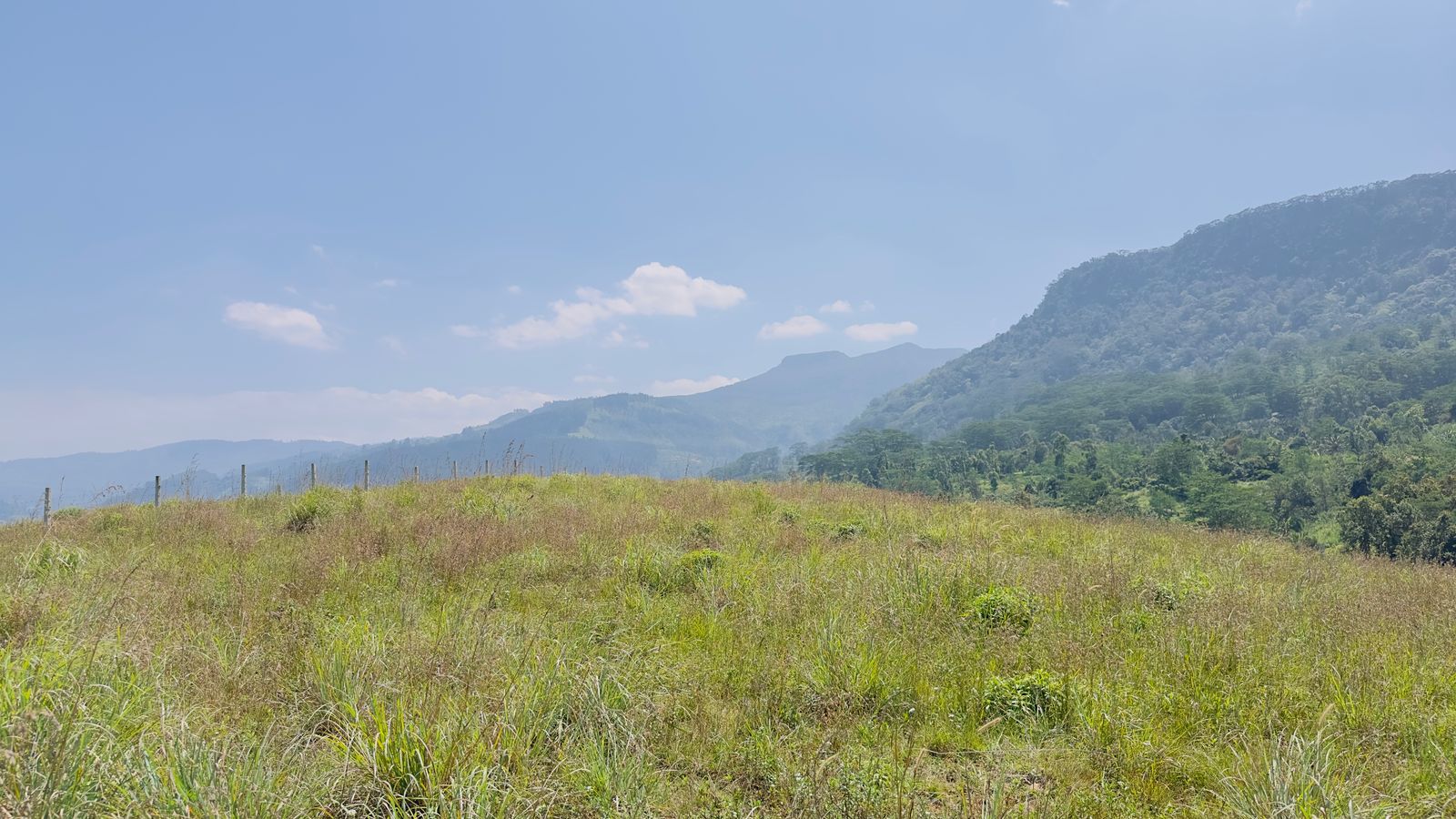 Land for Sale in Kandy Deltota