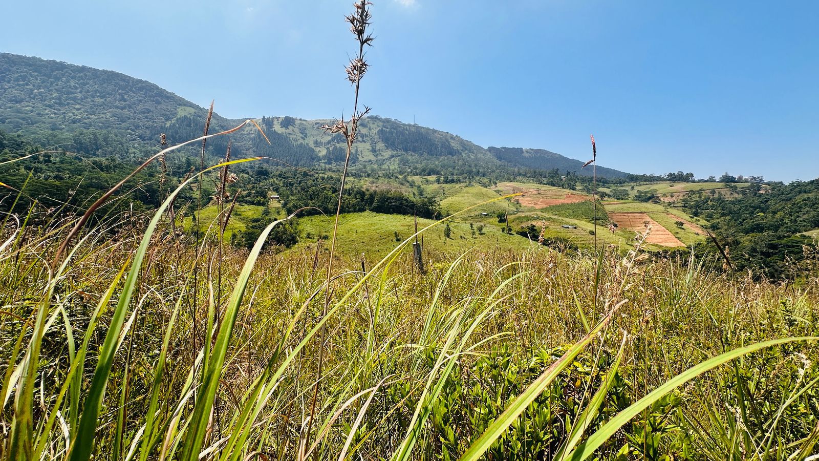 Land for Sale in Kandy Deltota