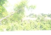 House for Sale Ambalangoda