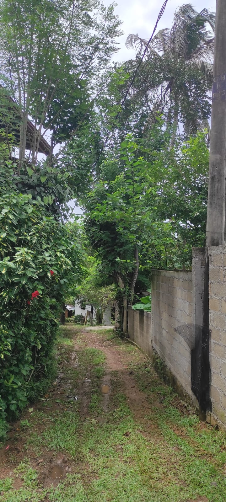 Land for Sale in Hikkaduwa