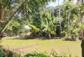 Land for Sale in Hikkaduwa