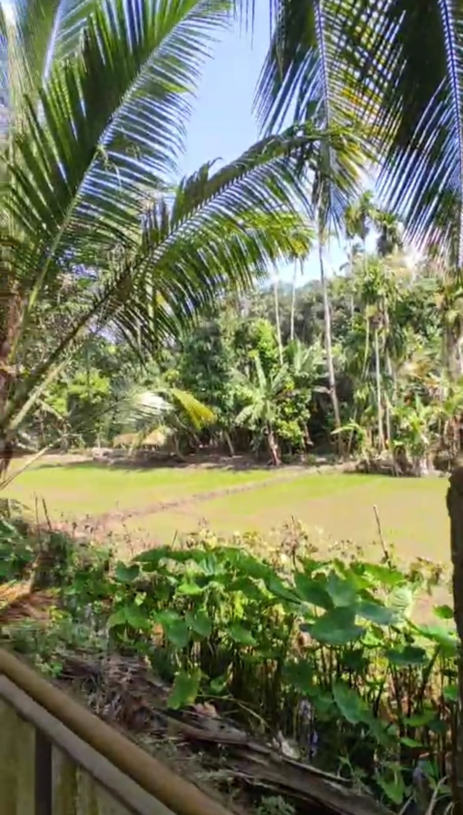 Land for Sale in Hikkaduwa