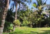Land for Sale in Hikkaduwa