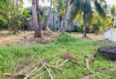 Land For sale In Mirigama