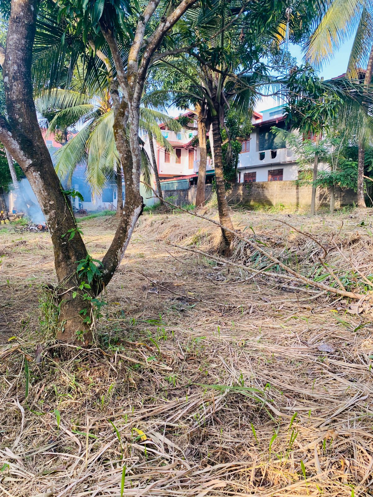 Land For sale In Mirigama