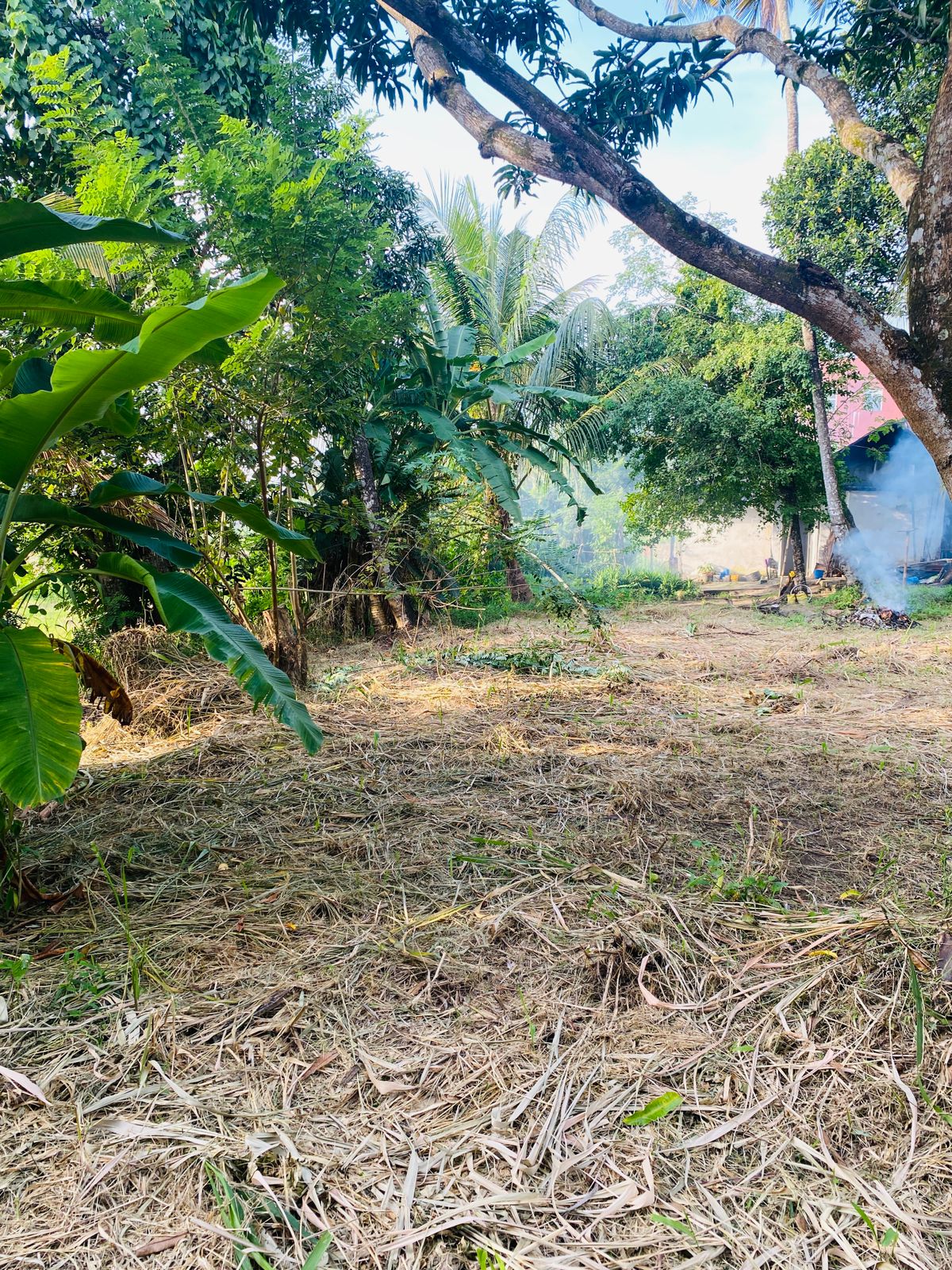 Land For sale In Mirigama