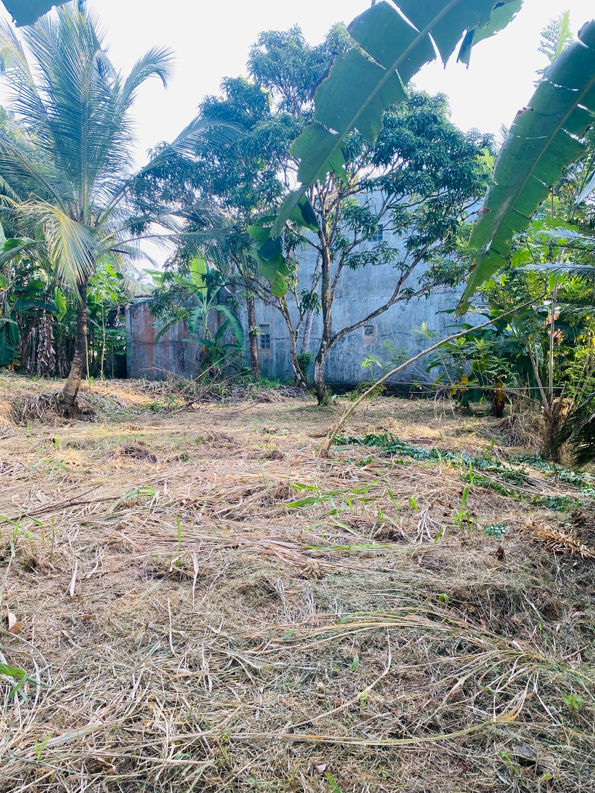 Land For sale In Mirigama