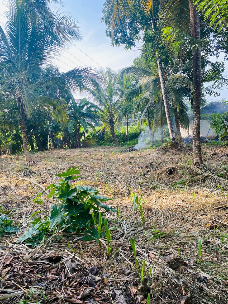 Land For sale In Mirigama