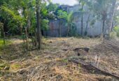 Land For sale In Mirigama