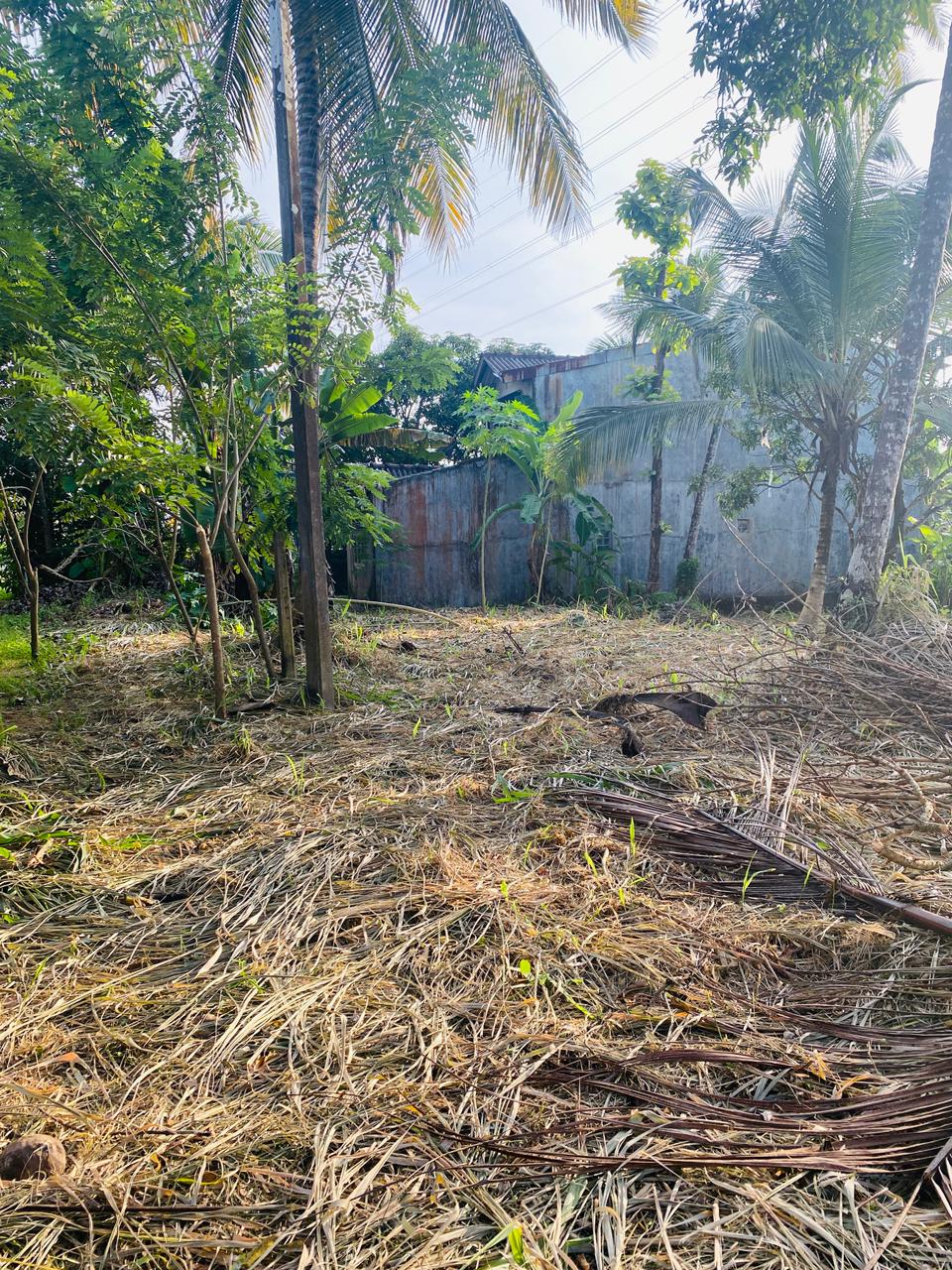 Land For sale In Mirigama