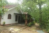 95 Perch Land for Sale – Denipitiya Weligama