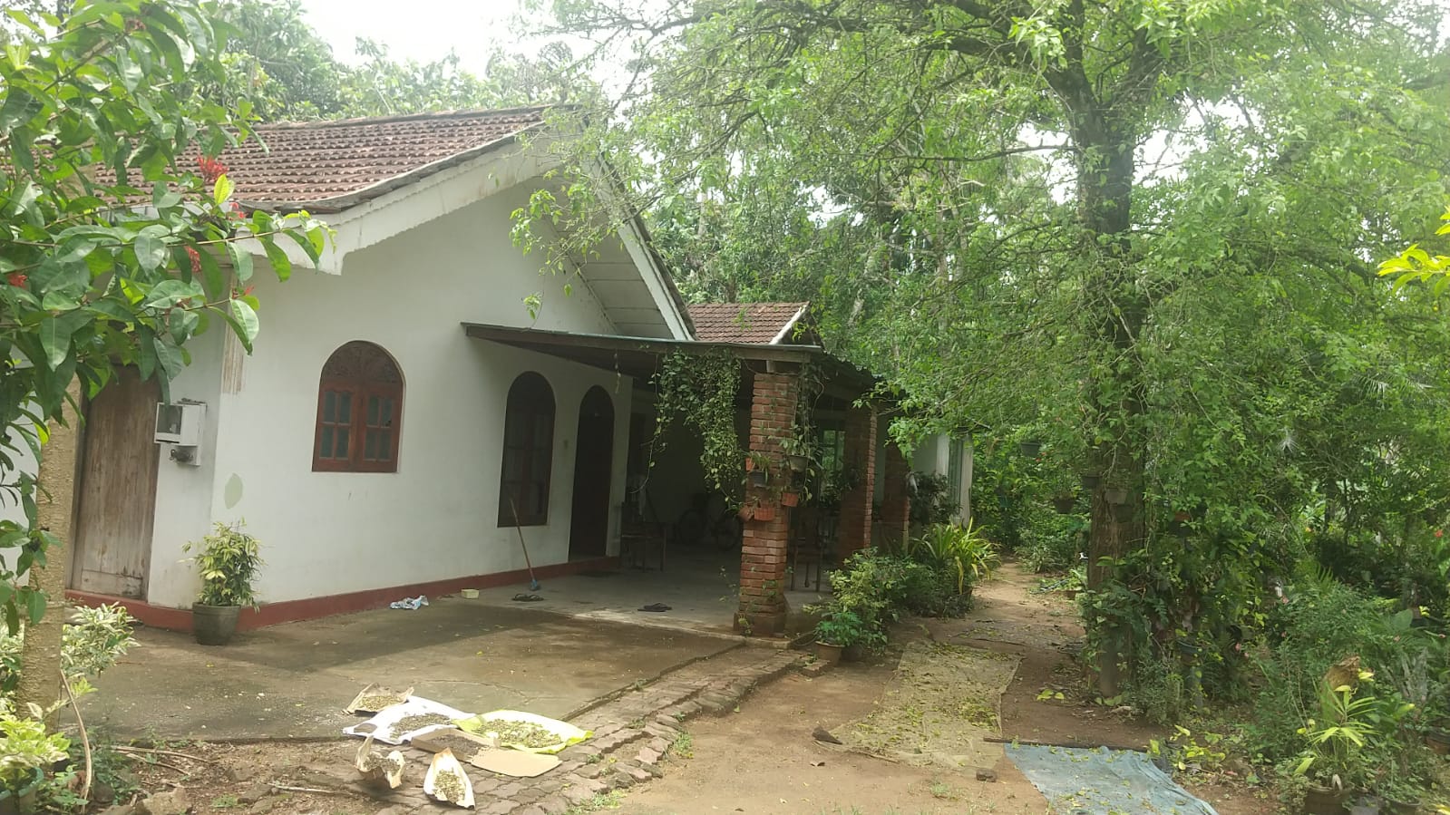 95 Perch Land for Sale – Denipitiya Weligama