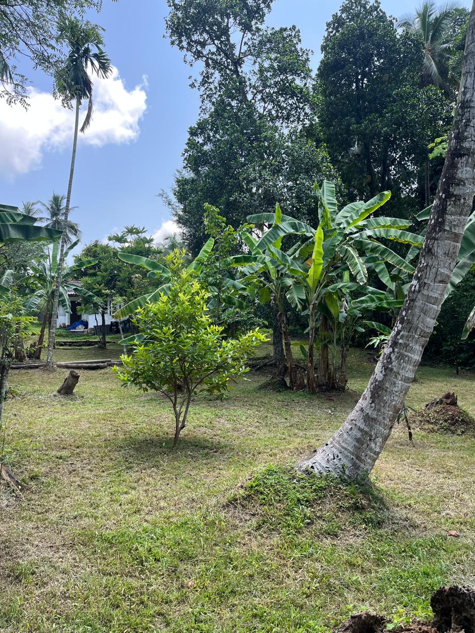 Land for Sale in Maharagama